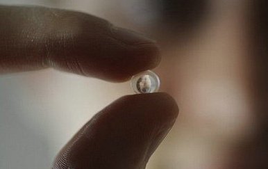 可粘贴镜头使手机变成放大率60倍的kaiyun.开云电子