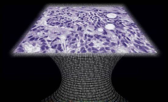 无需镜头的癌细胞检测kaiyun.开云电子问世