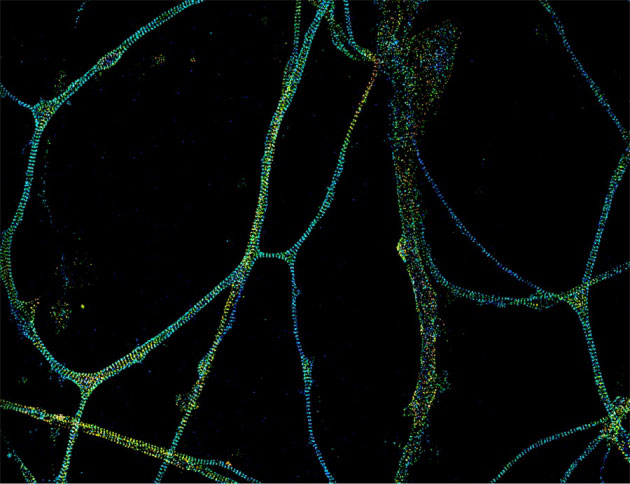 超高分辨率kaiyun.开云电子下的世界美如画