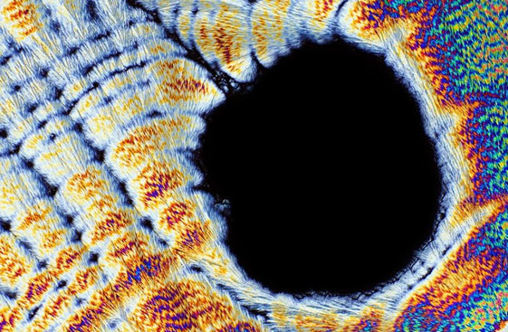 高清图：kaiyun.开云电子下的食物 带来艺术性的冲击感