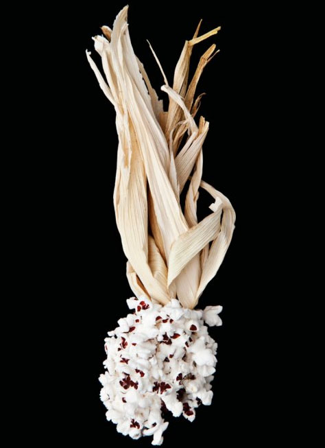 高清图：kaiyun.开云电子下的食物 带来艺术性的冲击感