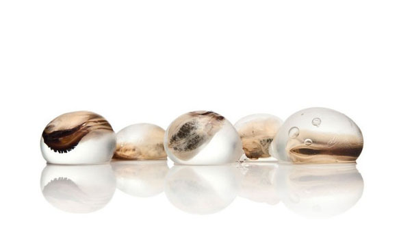 高清图：kaiyun.开云电子下的食物 带来艺术性的冲击感