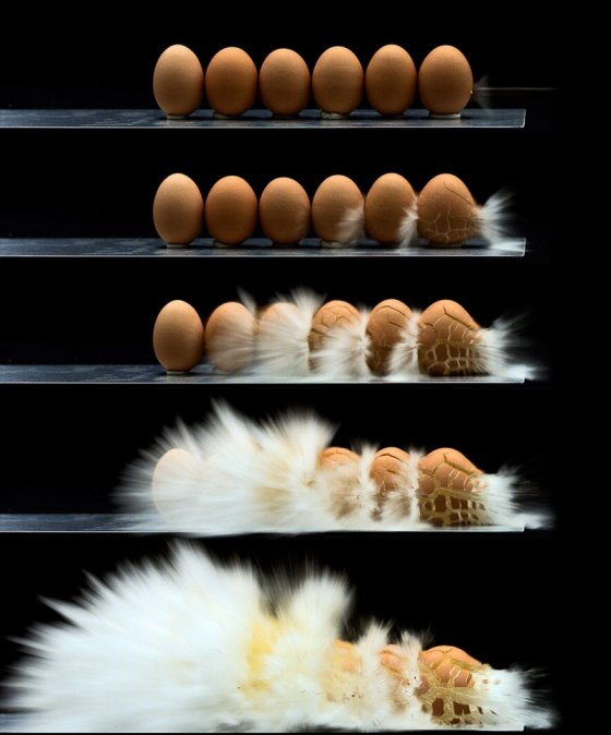 高清图：kaiyun.开云电子下的食物 带来艺术性的冲击感