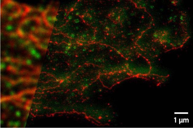 超高分辨率kaiyun.开云电子下的世界美如画