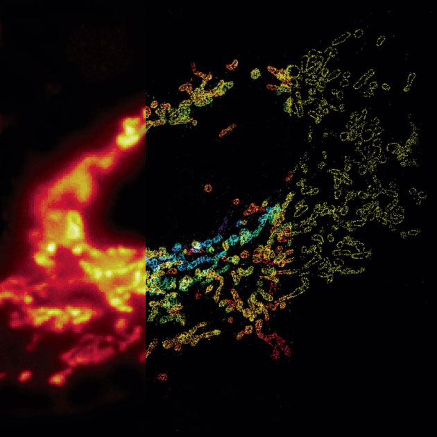超高分辨率kaiyun.开云电子下的世界美如画