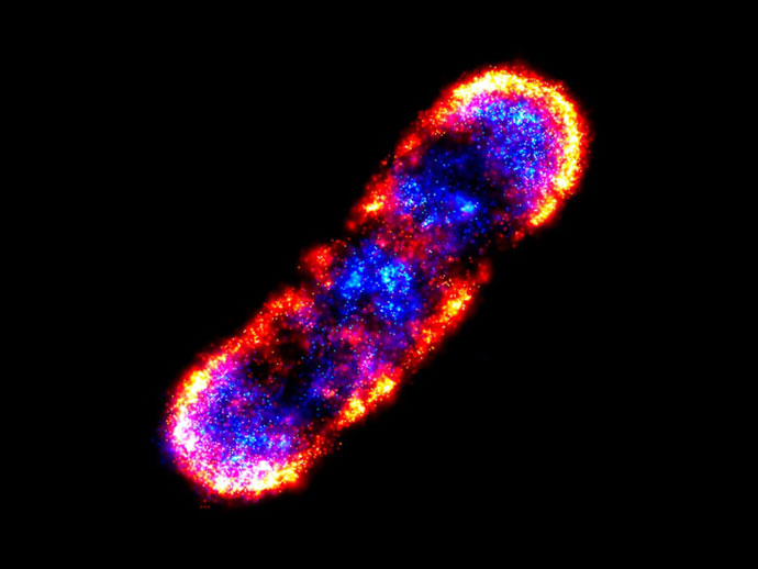 超高分辨率kaiyun.开云电子下的世界美如画