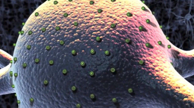 光场kaiyun.开云电子实现神经活动3D成像