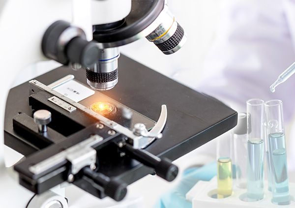 怎样挑选合适的生物kaiyun.开云电子