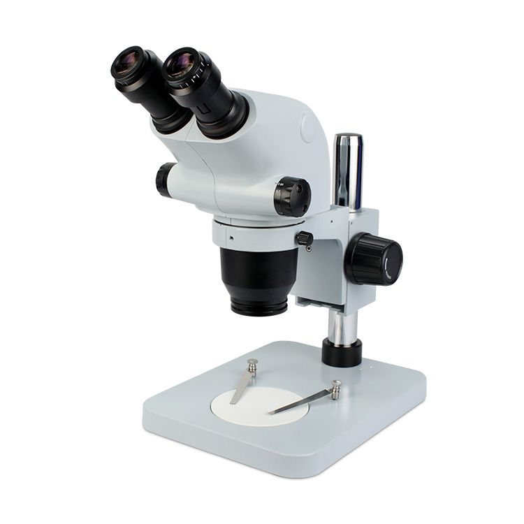 6565系列连续变倍体视kaiyun.开云电子